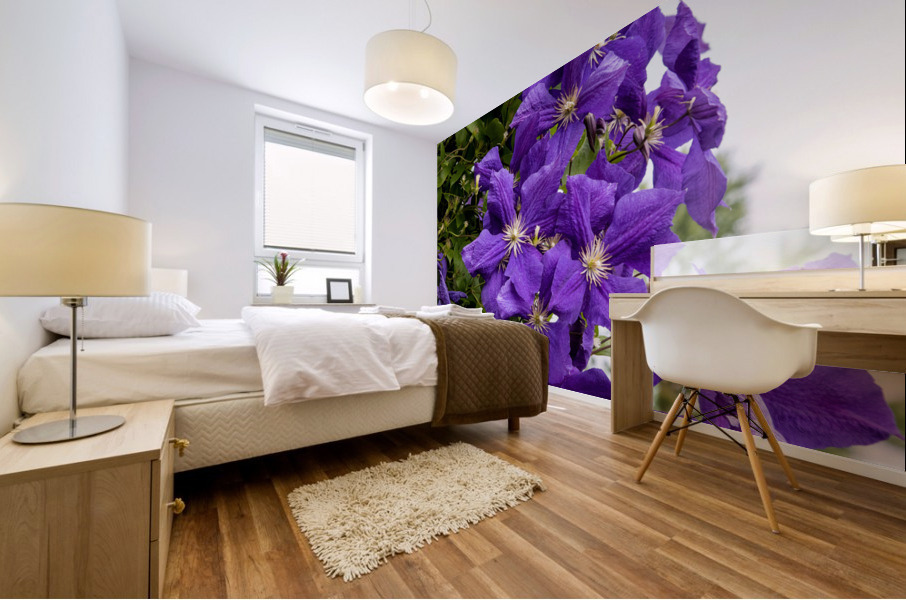 Grappe de clematis Mural print
