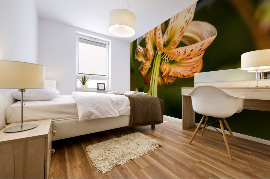 Lys macro Mural print