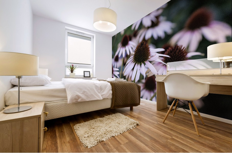 Echinace macro Mural print