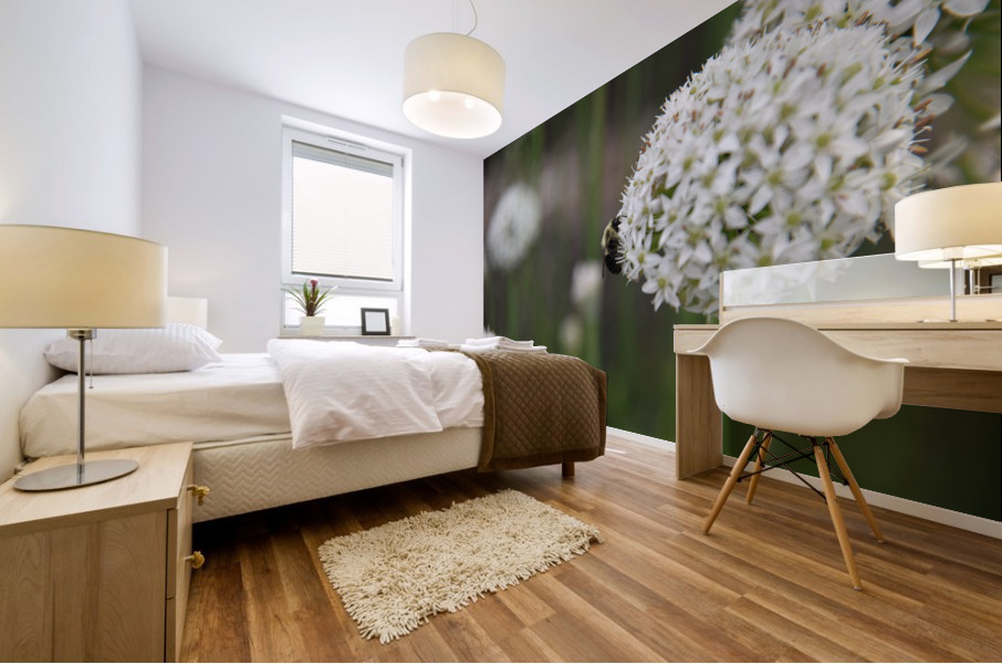 outside 00052 8 Mural print