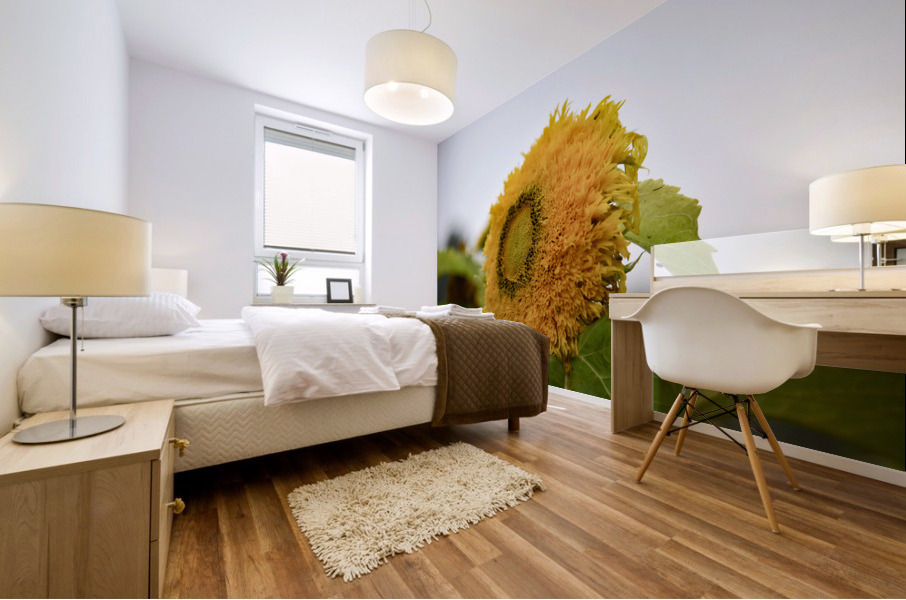 Tournesol macro Mural print