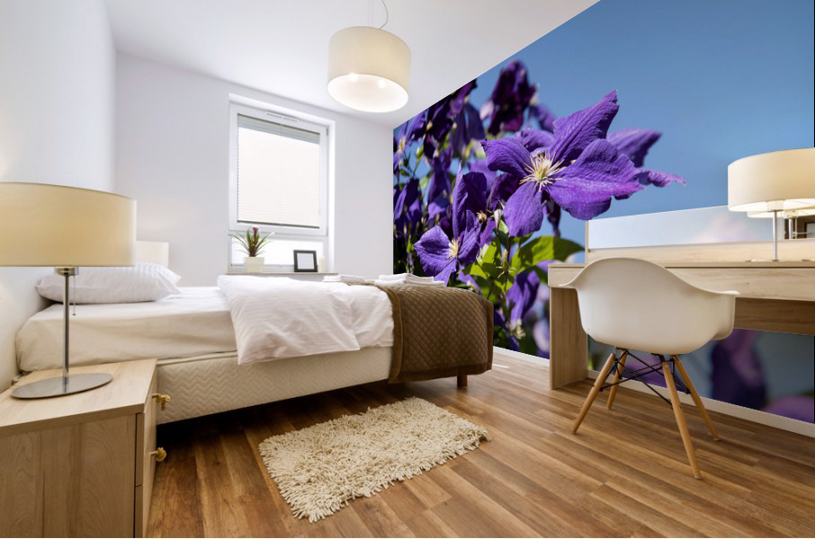 Plante mauve clematis Mural print