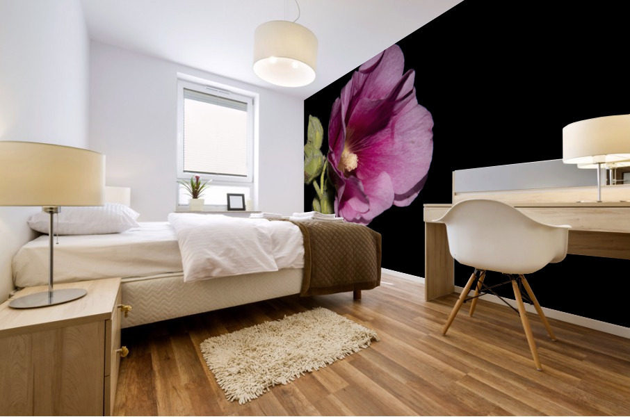 Fleurs Hisbucus rose de nuit Mural print