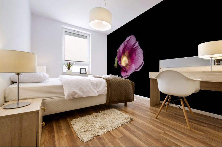 Hibiscus de nuit  Mural print