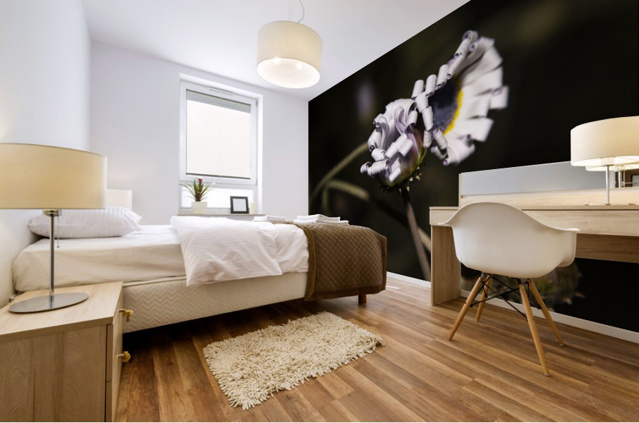 photos 002 461 Mural print