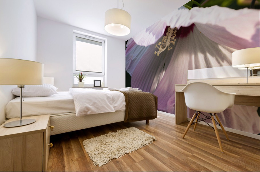 Hibiscus rose Mural print