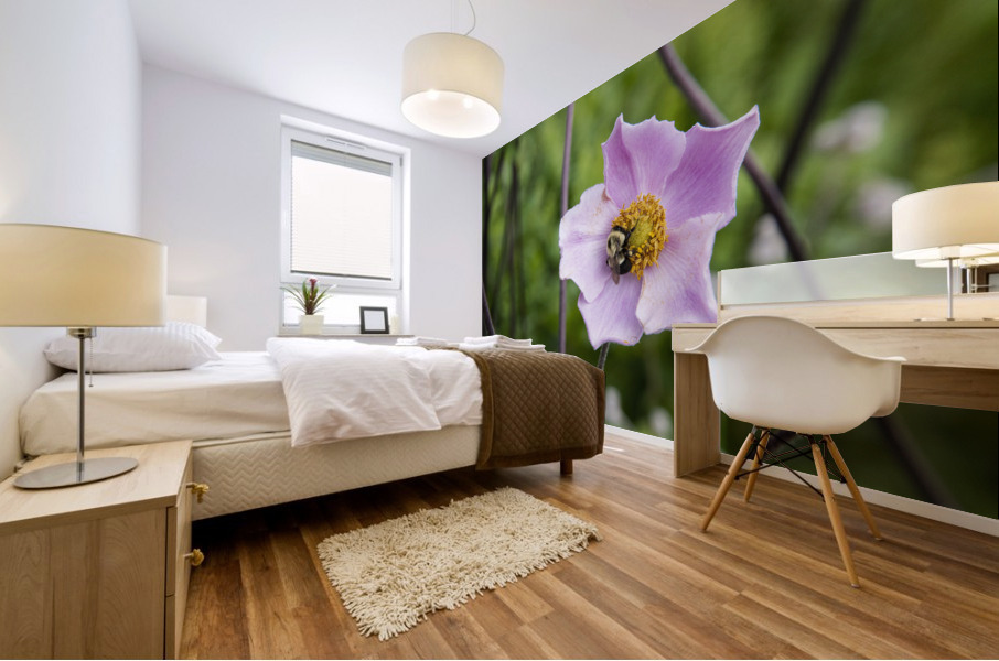 Anemone avec abeille Mural print