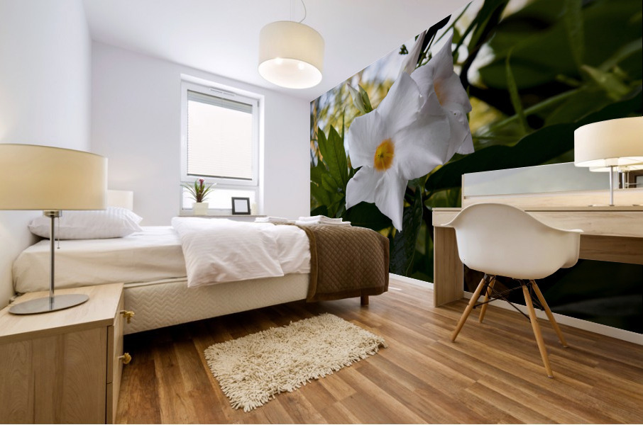 Jolie fleurs blanche inconnu Mural print