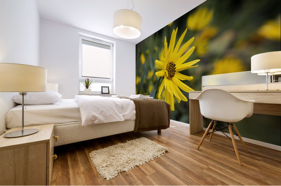 Fleurs tournesol 3 Mural print
