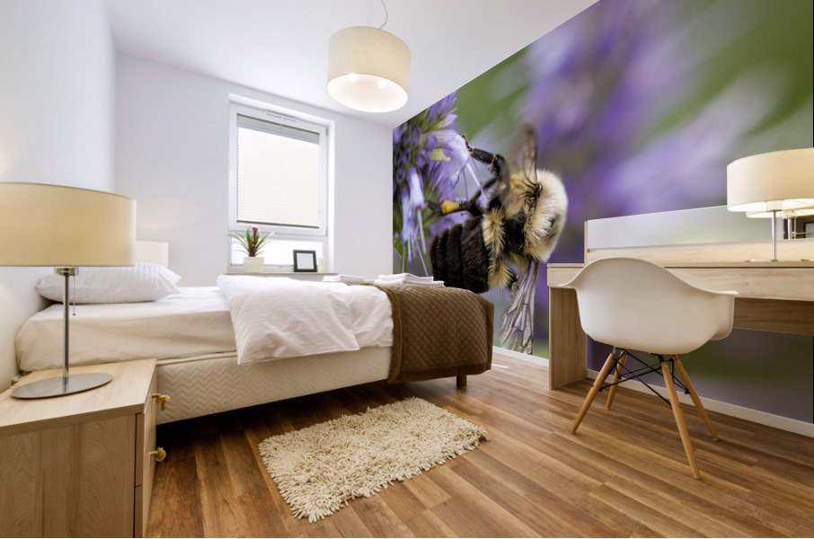 Abeille macro Mural print