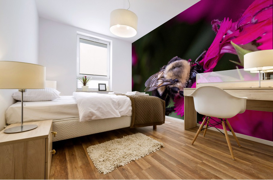 Abeille dans les fleurs Mural print