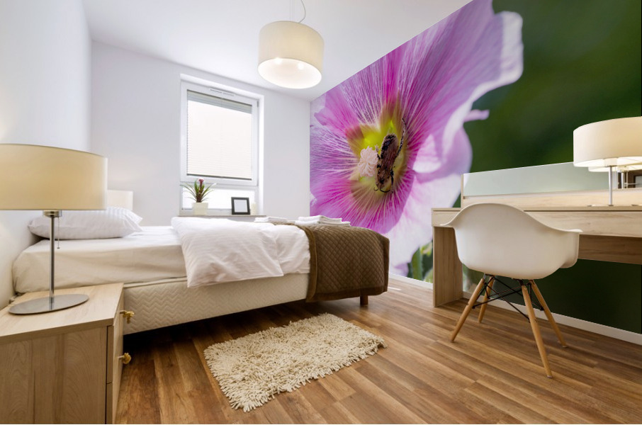 Macro abeille au travaille Mural print