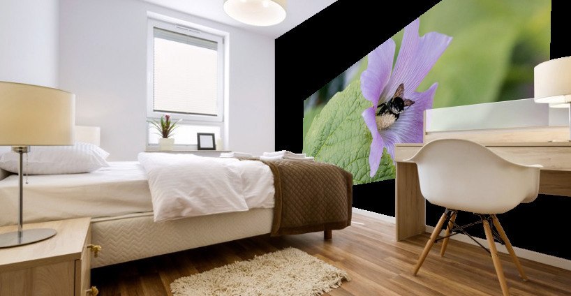 Natures Harmony: Macro Image of Bee on Hibiscus Mural print