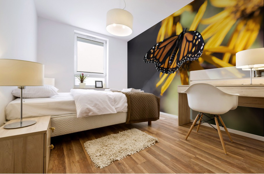 Overhead Elegance: Monarch Butterfly Macro Shot Mural print