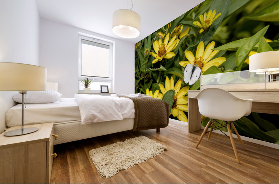Sunflower Frolic: White Butterfly on Sunflowers Mural print