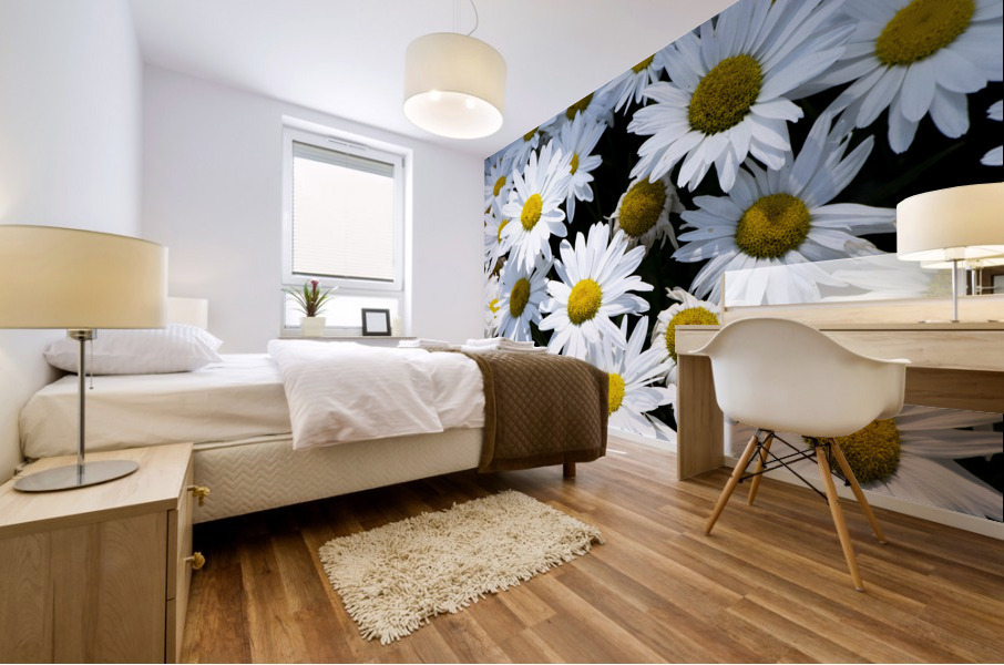 Harmonie naturelle : Decouvrez la delicatesse dun tapis de marguerites blanches en macro Mural print