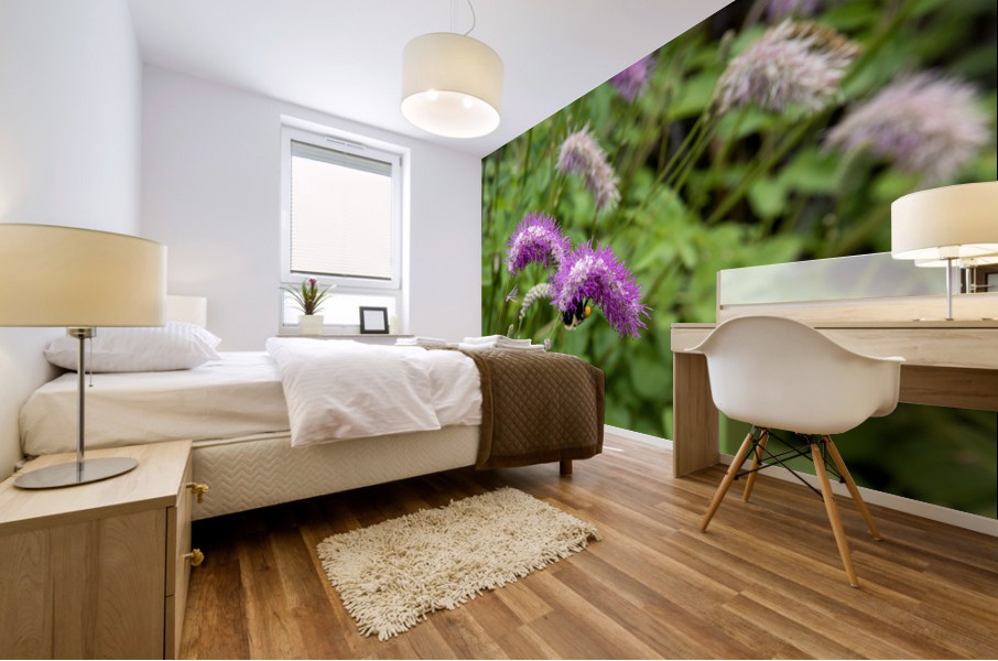 Immersion sauvage : Un champ de Sanguisorba obtusa une mer de beaute naturelle Mural print