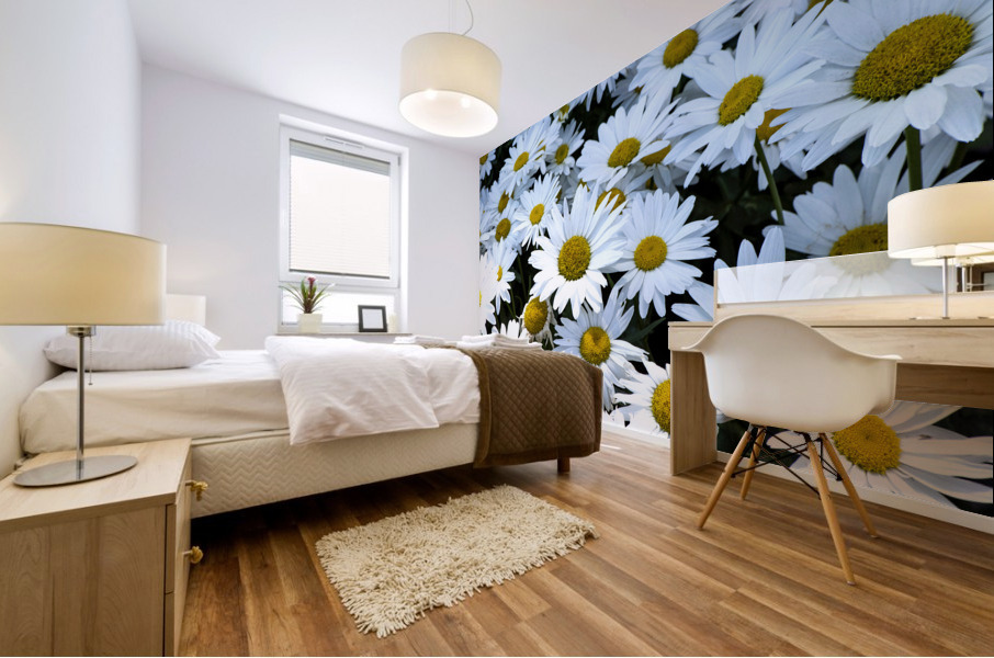 Purete florale : Leclat dun tapis de marguerites blanche Mural print