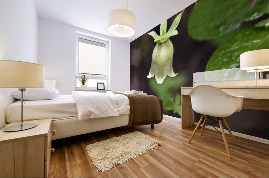 Nature envoutante : Decouvrez la beaute captivante dune belladone en macro  Mural print