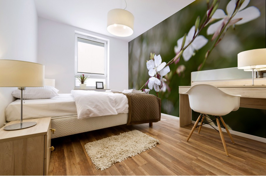 Luminosite florale : Fleur de Gaura en pose macro details captivants et fond bokeh Mural print