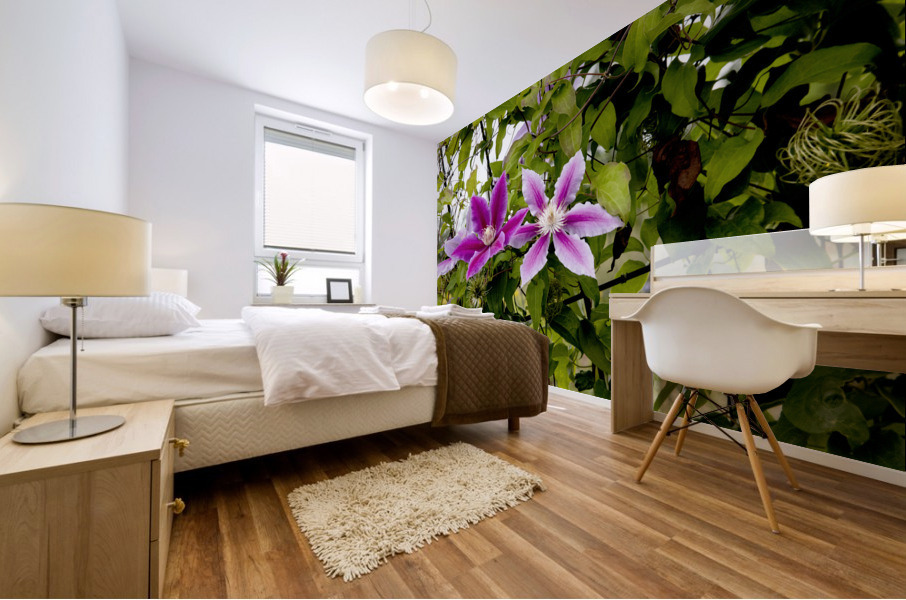 Fleurs en harmonie : Clematite rose mauve captivante avec un fond de feuillus Mural print