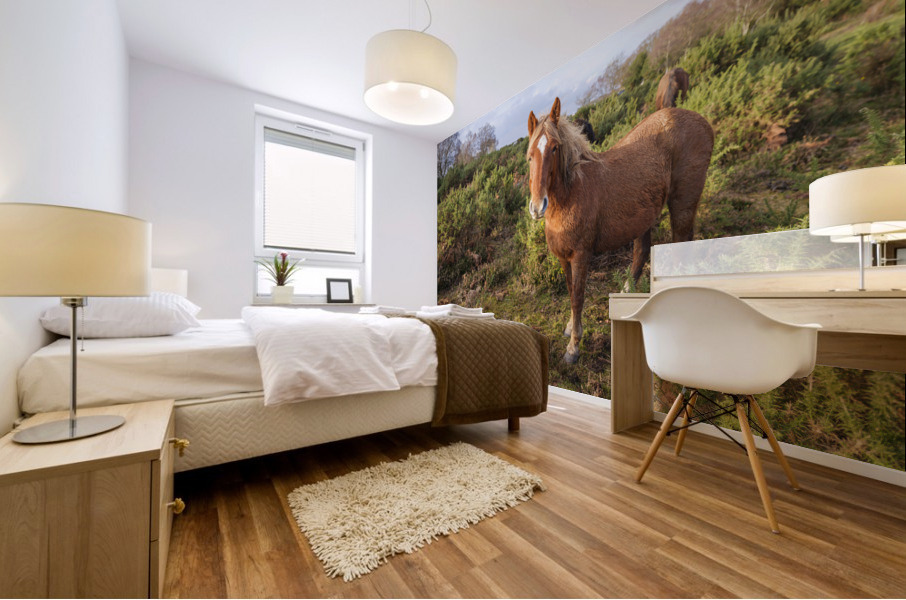 Lone Stag Mural print