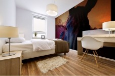 Sunset Horse  Mural print