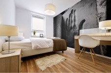 High five Mural print