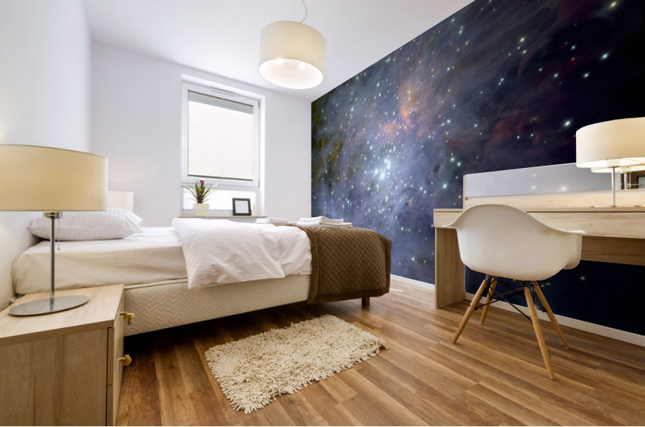 Central Region of Orion Nebula Mural print
