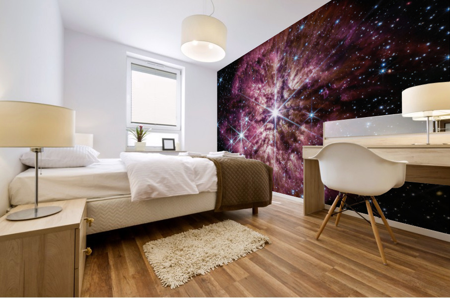 WR 124 Mural print