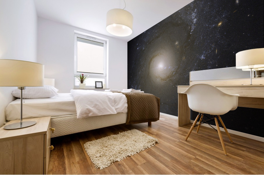 NGC 4151 Mural print