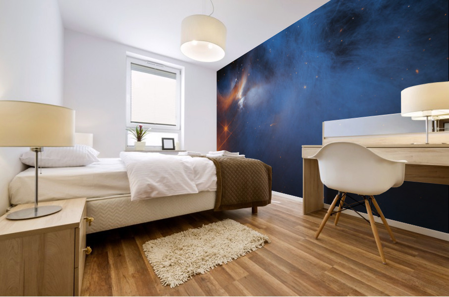 Chamaeleon I Molecular Cloud Mural print