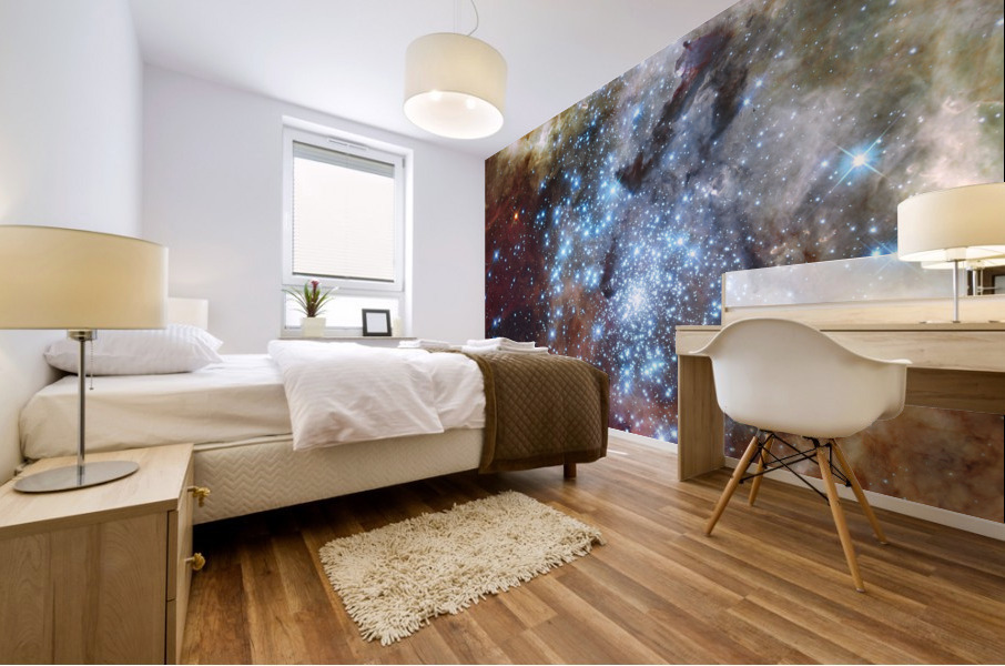 Massive Star Forming Region in 30 Doradus Mural print