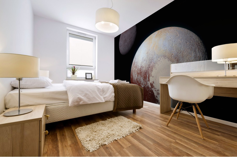 Pluto and Charon Mural print