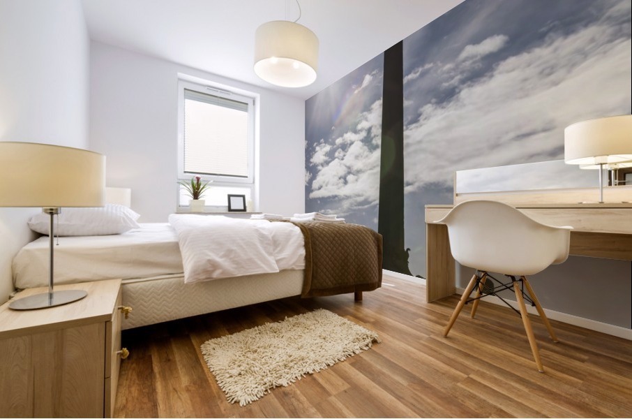 Fontana dei Dioscuri and obelisk in Palazzo del Quirinale; Rome, Italy Mural print