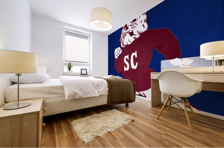 1987 South Carolina State Bulldog Art Mural print