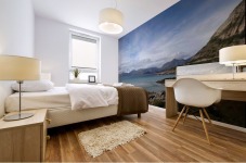 Cold Summer Mural print