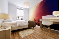 Red Horizon Mural print