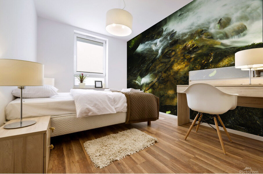 Shenandoah National Park Mural print