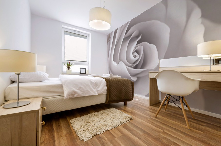 Captivating Rose Mural print