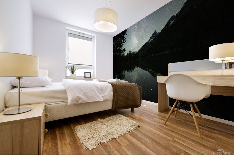 20230615 20230615 DSC 0508 Edit Mural print