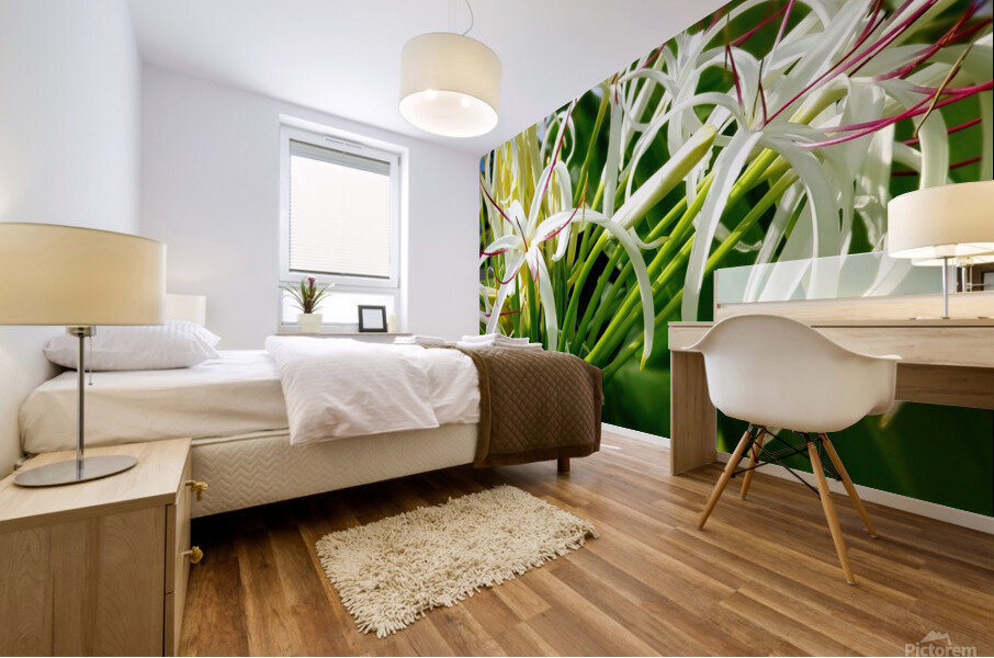 SPYDAHLiLLi Mural print