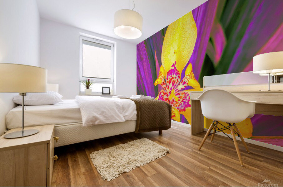 COLORFUL ORCHiD Mural print