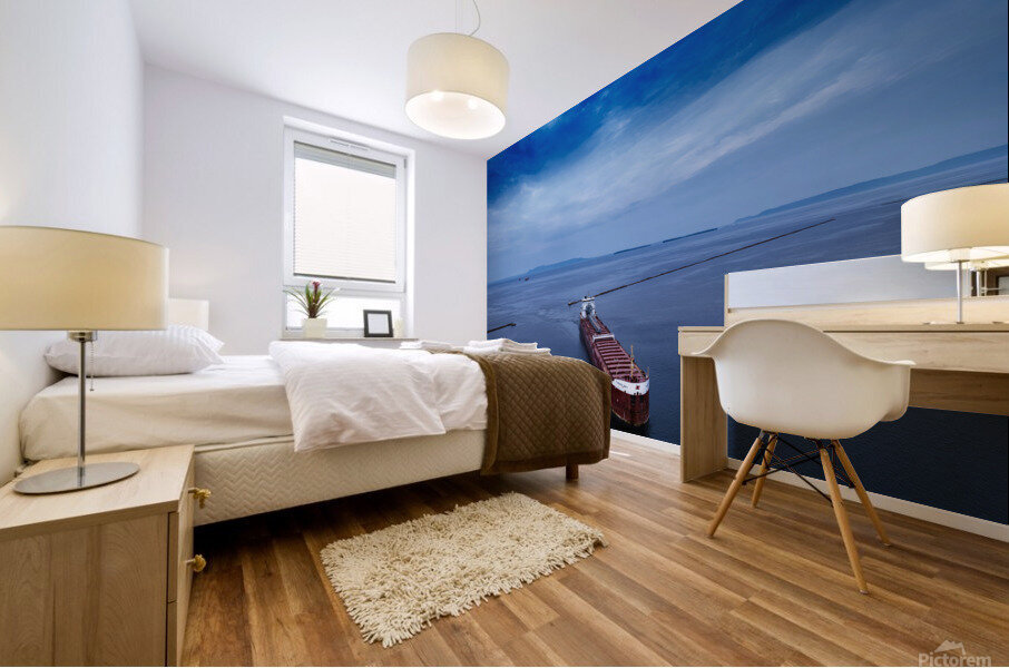 IMG 3755 Mural print