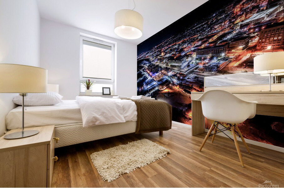 IMG 3746 Mural print