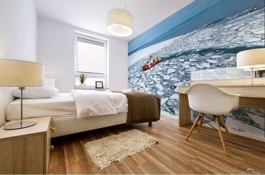 IMG 1514 Mural print