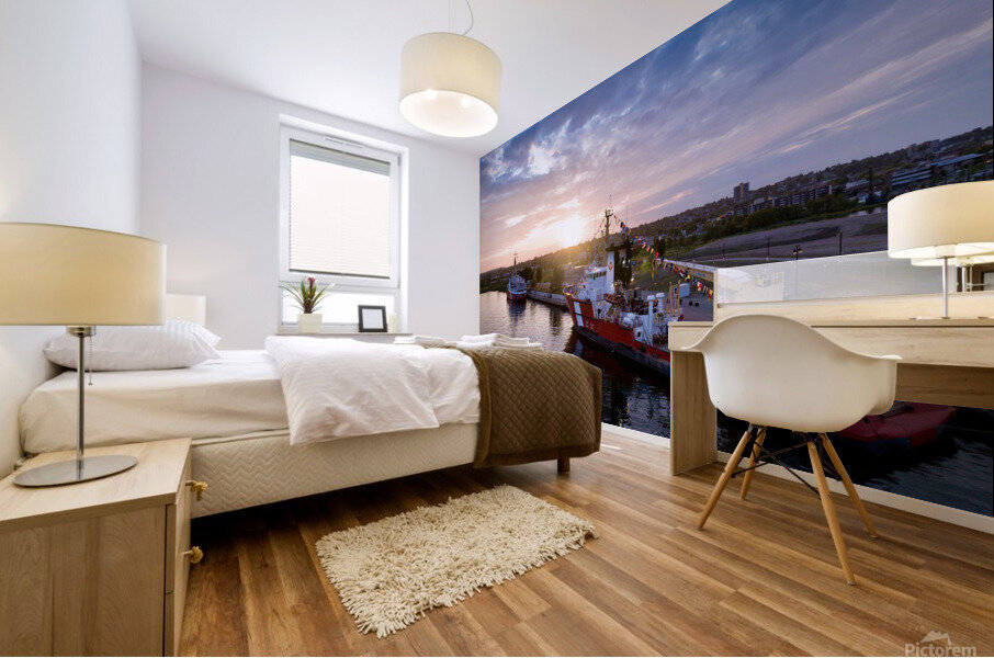 IMG 3724 Mural print