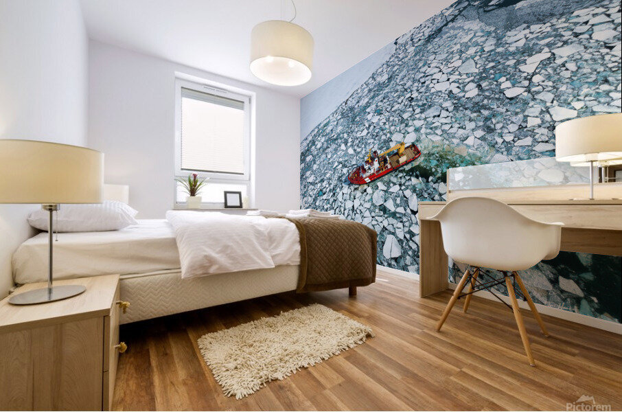 IMG 3135 Mural print