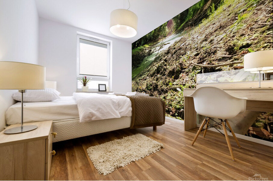 Dry Creek Mural print