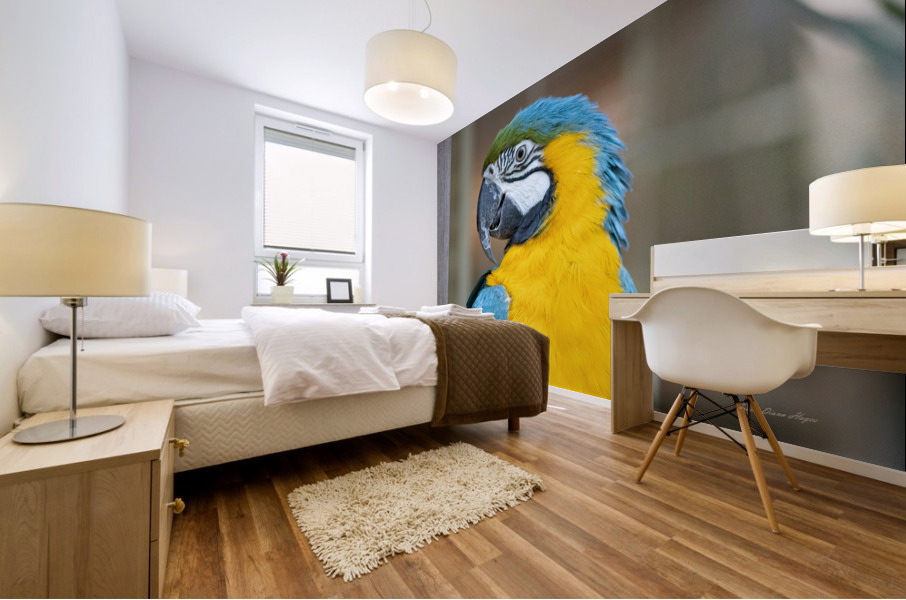 Macaw Mural print
